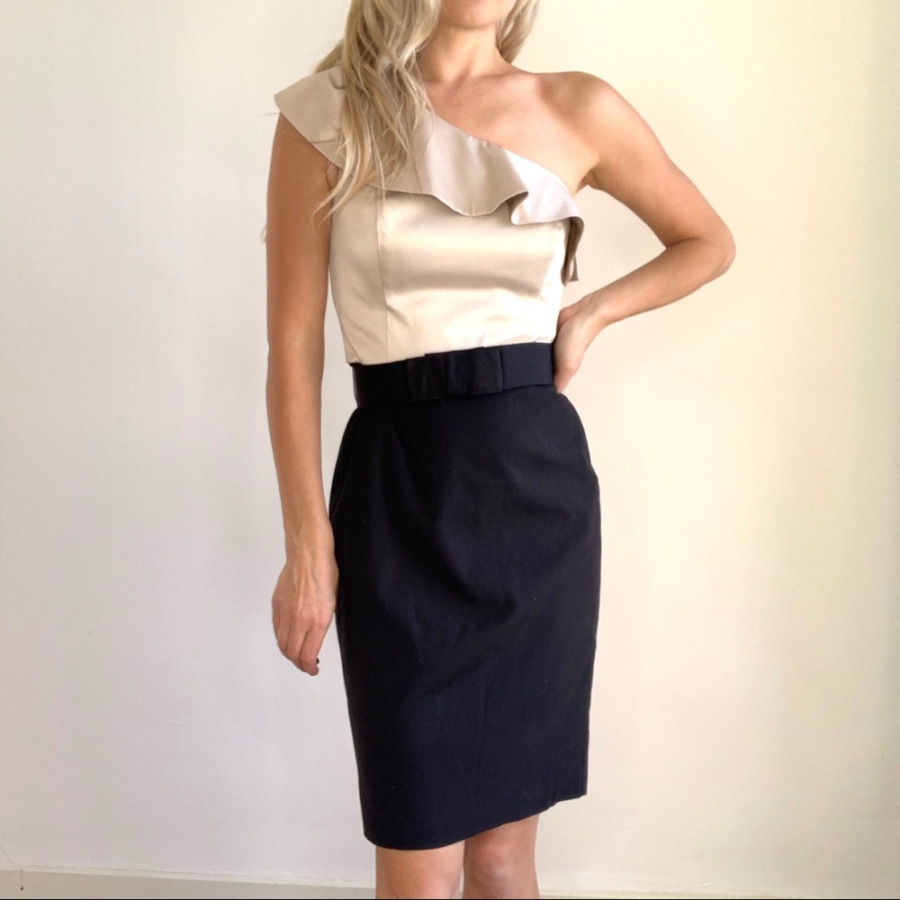 White House Black Market Champagne & Black Dress 2